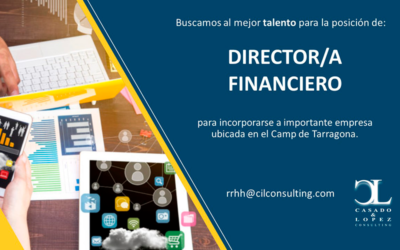 Director/a financiero